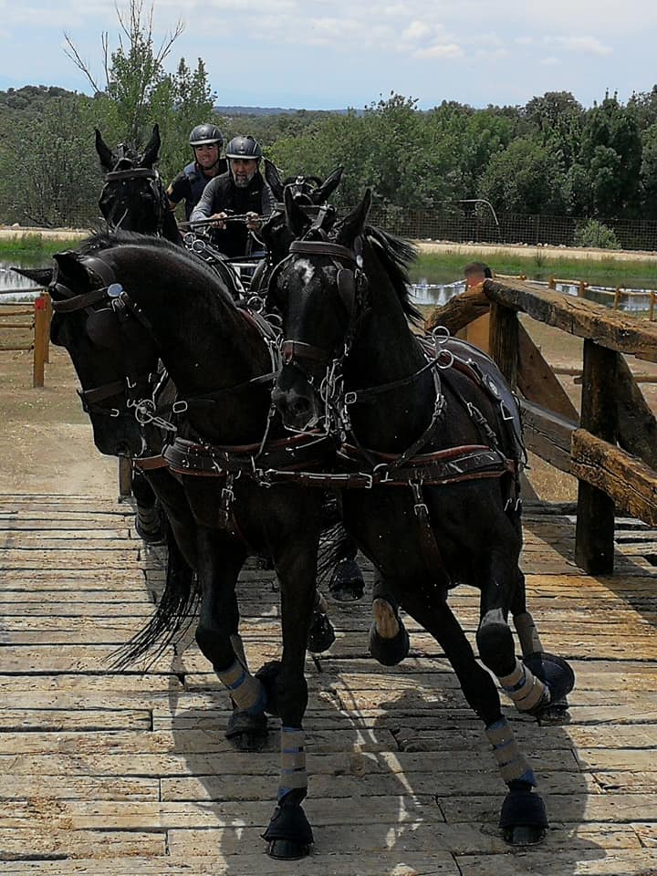 Excelente representación Navarra en la Copa S.M. el Rey de Enganches 2018